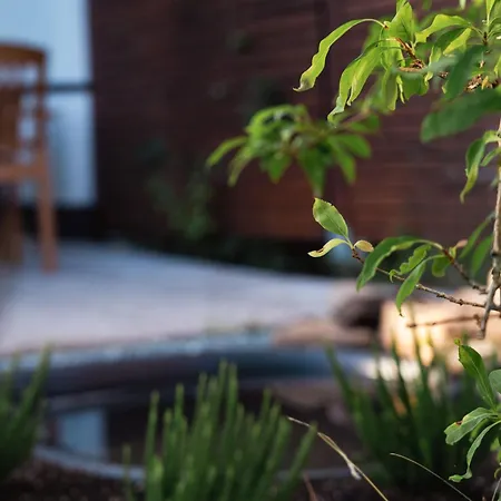 Apartmenthaus Schoene Aussicht *